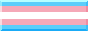 transgender pride flag